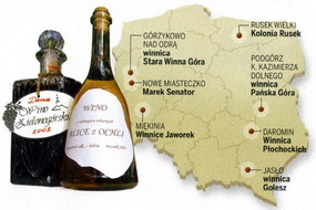 Winnice w Polsce