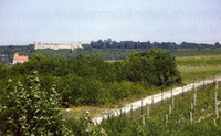 fot. Winnica Pa�ska G�ra
