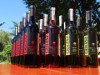 Wino białe różowe czerwone Golesz