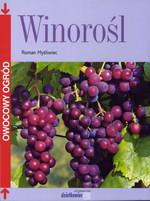 Winorośl